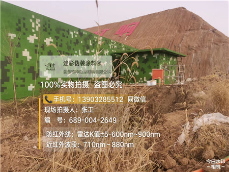 南昌星空迷彩墙施工队
